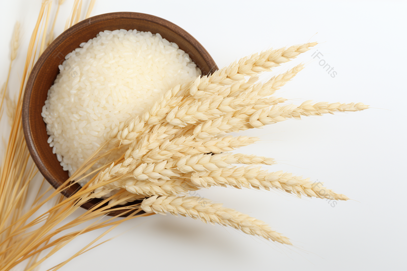 白底大米水稻静物,高清,摄影图,摄影图片,图片大全,摄影图免费下载